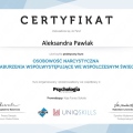 Powiększ obraz: certificate 2