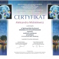 Powiększ obraz: certificate 11