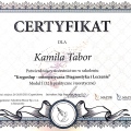 Powiększ obraz: certificate 12