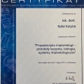 Powiększ obraz: certificate 9