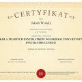 Powiększ obraz: certificate 1