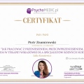 Powiększ obraz: certificate 4