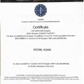 Powiększ obraz: certificate 11