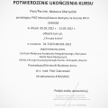 Powiększ obraz: certificate 8