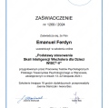 Powiększ obraz: certificate 4