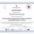 Powiększ obraz: certificate 4