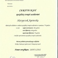 Powiększ obraz: certificate 1