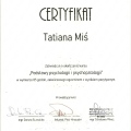Powiększ obraz: certificate 4