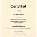Powiększ obraz: certificate 8