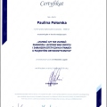 Powiększ obraz: certificate 5