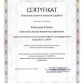 Powiększ obraz: certificate 8