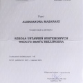 Powiększ obraz: certificate 3