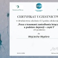Powiększ obraz: certificate 16