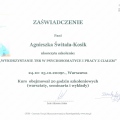 Powiększ obraz: certificate 3