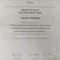 Powiększ obraz: certificate 6