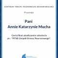Powiększ obraz: certificate 14