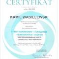 Powiększ obraz: certificate 11
