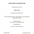 Powiększ obraz: certificate 4