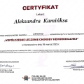 Powiększ obraz: certificate 1