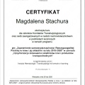 Powiększ obraz: certificate 4