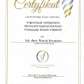 Powiększ obraz: certificate 2