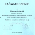 Powiększ obraz: certificate 5