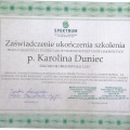 Powiększ obraz: certificate 6