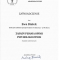 Powiększ obraz: certificate 4