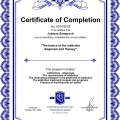 Powiększ obraz: certificate 5