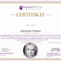 Powiększ obraz: certificate 12