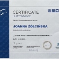 Powiększ obraz: certificate 8