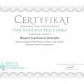 Powiększ obraz: certificate 2
