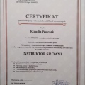 Powiększ obraz: certificate 2