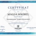Powiększ obraz: certificate 13