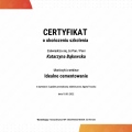 Powiększ obraz: certificate 6