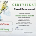 Powiększ obraz: certificate 8