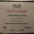 Powiększ obraz: certificate 8
