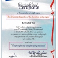 Powiększ obraz: certificate 22