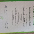 Powiększ obraz: certificate 7