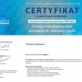Powiększ obraz: certificate 13