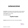 Powiększ obraz: certificate 2