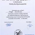 Powiększ obraz: certificate 5