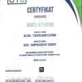 Powiększ obraz: certificate 17