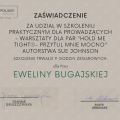 Powiększ obraz: certificate 7