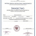 Powiększ obraz: certificate 3