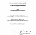Powiększ obraz: certificate 86