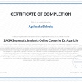 Powiększ obraz: certificate 7