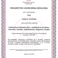 Powiększ obraz: certificate 20
