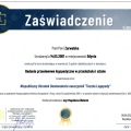 Powiększ obraz: certificate 9