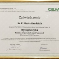 Powiększ obraz: certificate 5